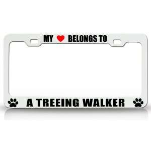 MY HEART BELONGS TO A TREEING WALKER Dog Pet Steel Metal Auto License 