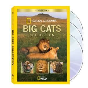  National Geographic Big Cats 3 DVD Set Video Games