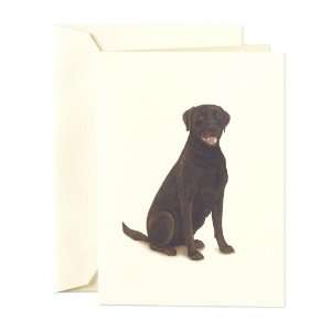  Crane & Co. Chocolate Labrador Retriever Dog Notes (CF1151 