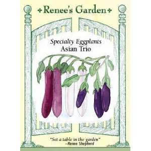  Eggplant   Asian Trio Seeds Patio, Lawn & Garden
