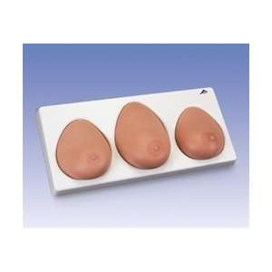  Breast Exam Model 3 Piece