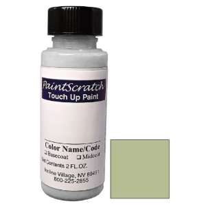   Paint for 2004 Chevrolet Epica (color code 17U/WA224L) and Clearcoat