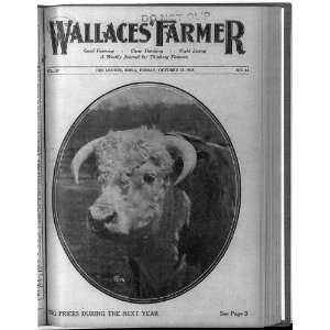  Title Page,Wallaces Farmer,1925,Head of a Bull,Des Moines 