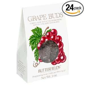 Butterfields Candy, Grape Buds, 3 Ounce Grocery & Gourmet Food