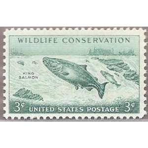   Wildlife Conservation King Salmons Scott 1079 MNHVFOG 