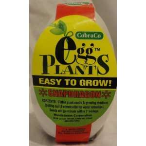  Easy to Grow Egg Plants Snapdragon Plant 