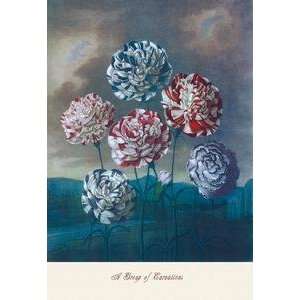  Vintage Art Group of Carnations   04340 7