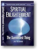 Spiritual Enlightenment The Damnest Thing, Jed McKenna  