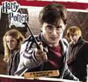 Harry Potter and the Deathly Hallows 2012 Calendar SUPER COOL 