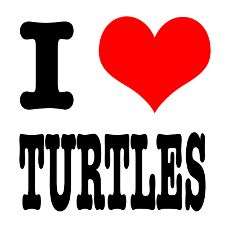 Set Of 10 I Love Turtles Sticker Set  