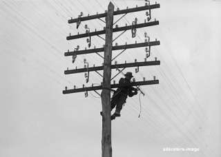 Chesapeake & Potomac Telephone Co Lineman photo picture  