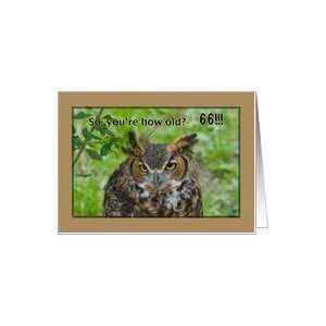  66th Birthday Card with Great Horned Owl Card Toys 