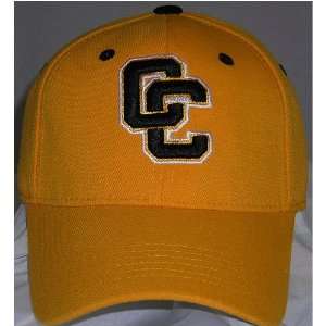  College of Charleston Cougars NCAA Adult Wool 1 Fit Hat 