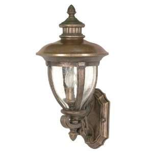 Nuvo 60/955 Arm Up, Wall Lantern with Clear Seed Glass, Platinum Gold 