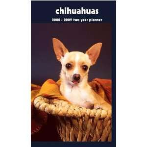  Chihuahuas 2008 Pocket Planner