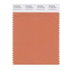  PANTONE SMART 16 1340X Color Swatch Card, Brandied Melon 