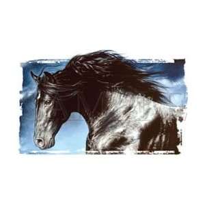  T shirts Animals Wildlife Horses Black Andalusian M 