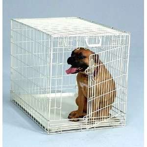  General Cage Folding Dog Crate 36L White