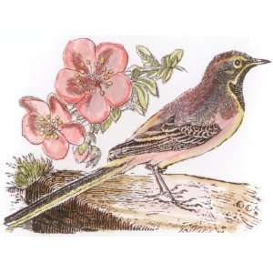  LaBlanche Silicone Stamp 3.7X3 Watchful Bird