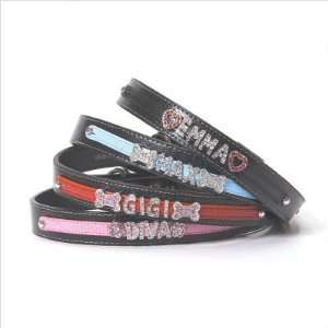  26 Bars & A Band TTCOL   X Two Tone Dog Collar Everything 
