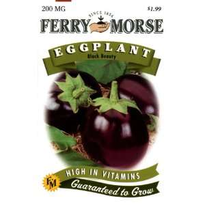  Ferry Morse 1287 Eggplant Seeds, Black Beauty (200 
