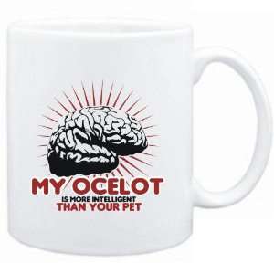   Ocelot is more intelligent than your pet  Animals