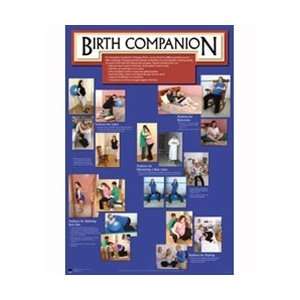 Birth Companion Chart  Industrial & Scientific