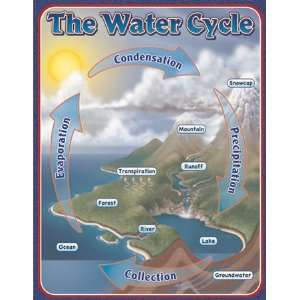 17 Pack CARSON DELLOSA THE WATER CYCLE CHARTLETS 