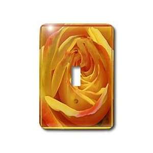  Doreen Erhardt Floral   Late Bloomer   Light Switch Covers 