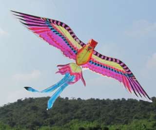 3D Paradise Bird Kite,Gift/Holiday/Outdoor/Art Deco  