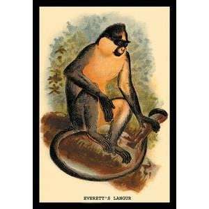  Vintage Art Everetts Langur   15169 2