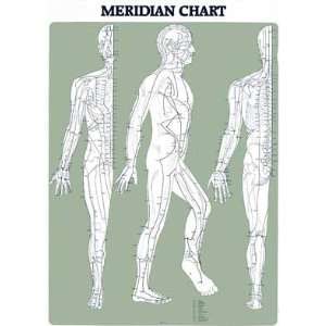 Acupuncture Chart  Industrial & Scientific