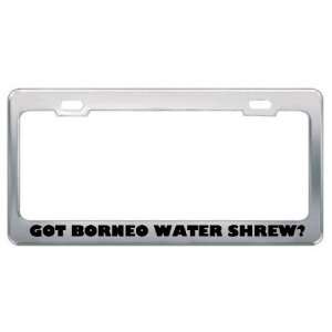 Got Borneo Water Shrew? Animals Pets Metal License Plate Frame Holder 