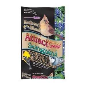 Wild Bird Attract Gold Songbird 7lb 6pc