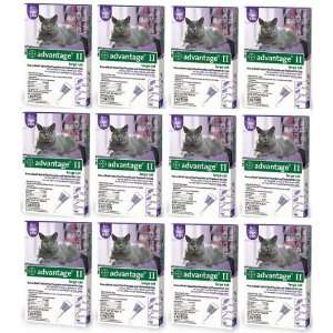  ADVANTAGE II Cat Flea Control 9+ lb Purple 4 Month 12pk 