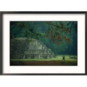  A monkey who lives at the site walks past a Mayan ruin at 