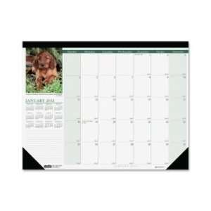 com House of Doolittle Earthscapes Puppies Desk Pad Calendar   White 