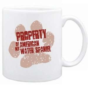  New  Property Of My American Water Spaniel  Mug Dog 