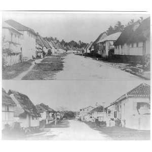  Two street scenes,Agana,Guam,c1912,buildings,plants