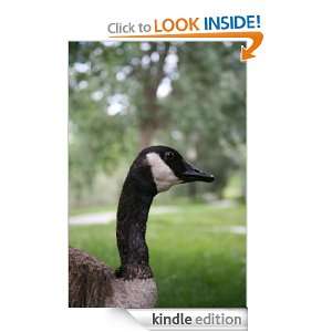 Dont be A Goose For Ever Cleve Tidwell  Kindle Store