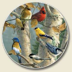 Wild Backyard Birds Absorbent Auto Coaster Cupholder  