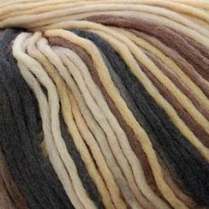  Zitron Loft Color Yarn 580 Browns