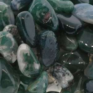Moss Agate  Pear Plain Irregular Sizes, Sold by 16 Inch Strand with 