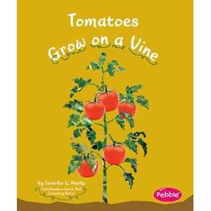  Tomatoes Grow On A Vine
