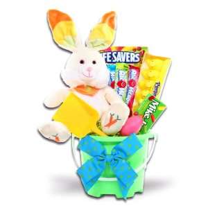 Alder Creek Gifts Bunny Easter Pail Gift Basket  Grocery 