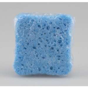  New   Marine Soap Infused Spa Sponge Case Pack 12 