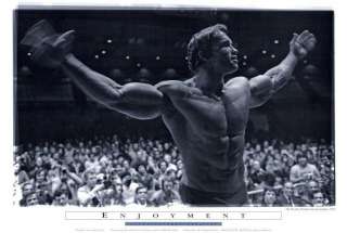 Arnold Schwarzenegger 27 x 40 Movie Poster , Style E  