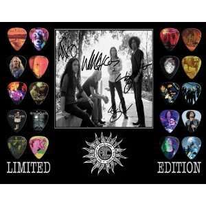  Alice In Chains Framed 20 Guitar Pick Set Platinum 