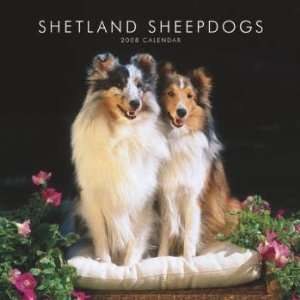 Shetland Sheepdogs 2008 Wall Calendar