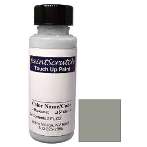  2 Oz. Bottle of Cashmere Silver Metallic Touch Up Paint 